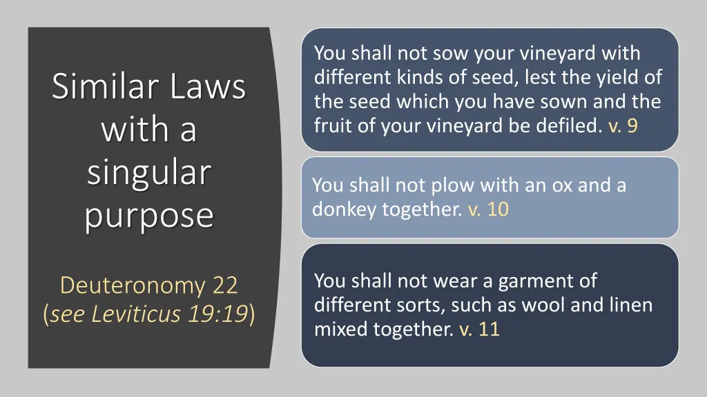you shall not sow your vineyard with different