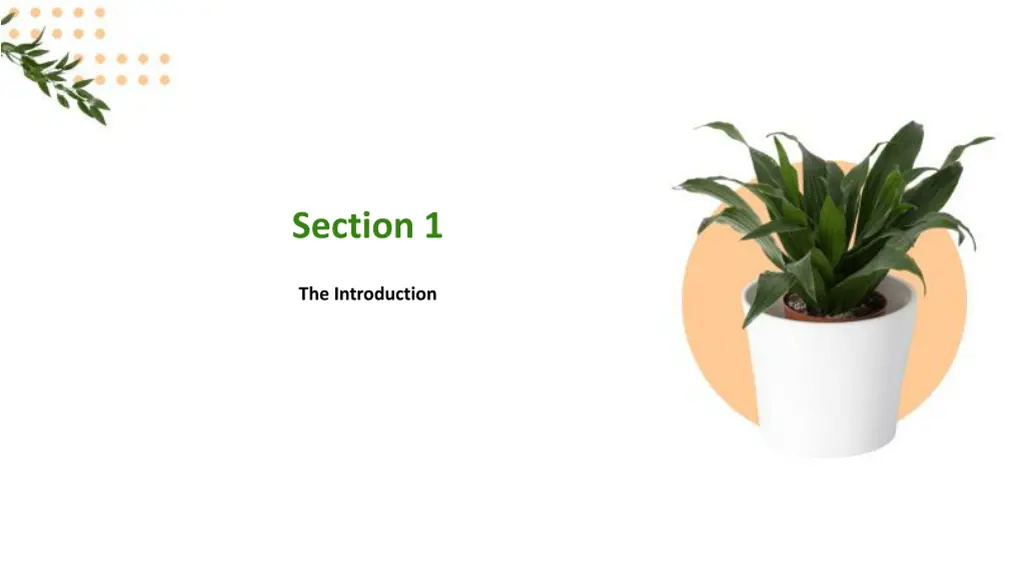 section 1