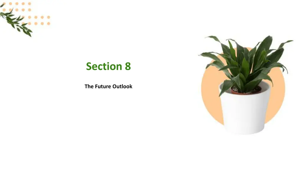 section 8