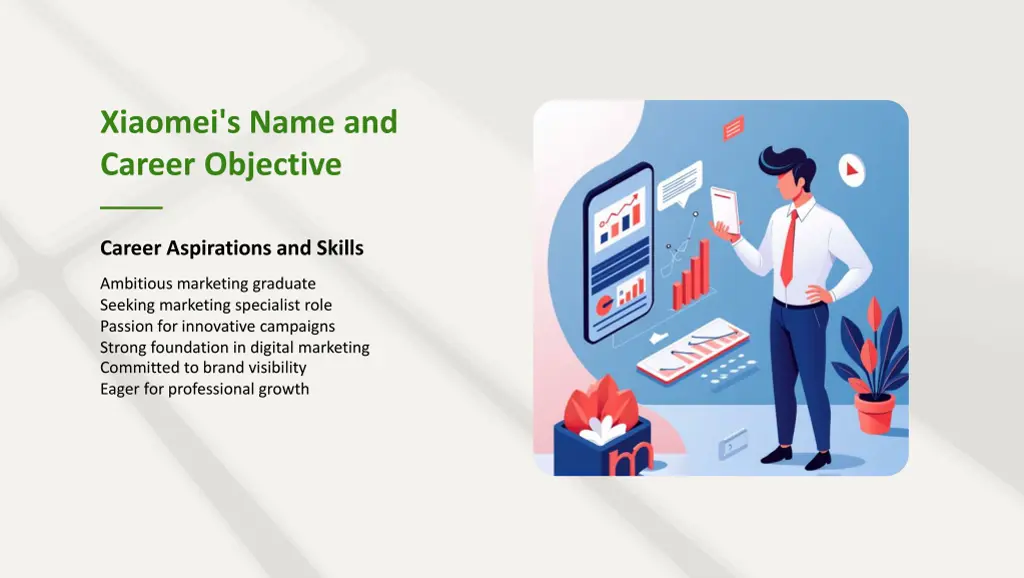 xiaomei s name and career objective