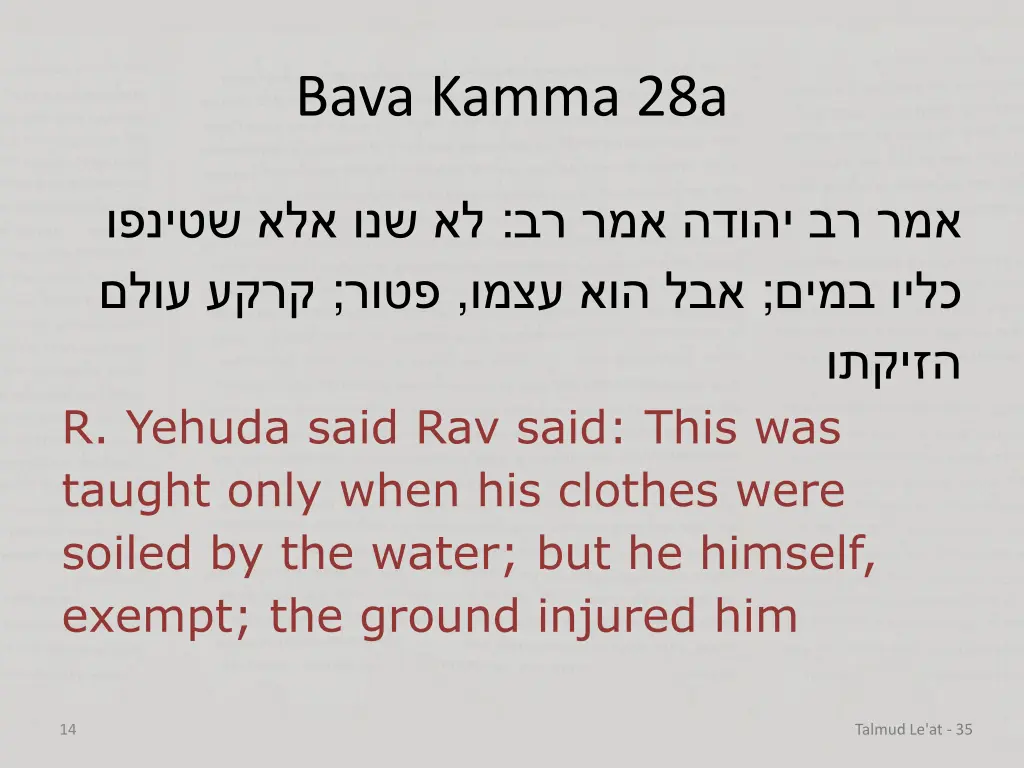 bava kamma 28a 10