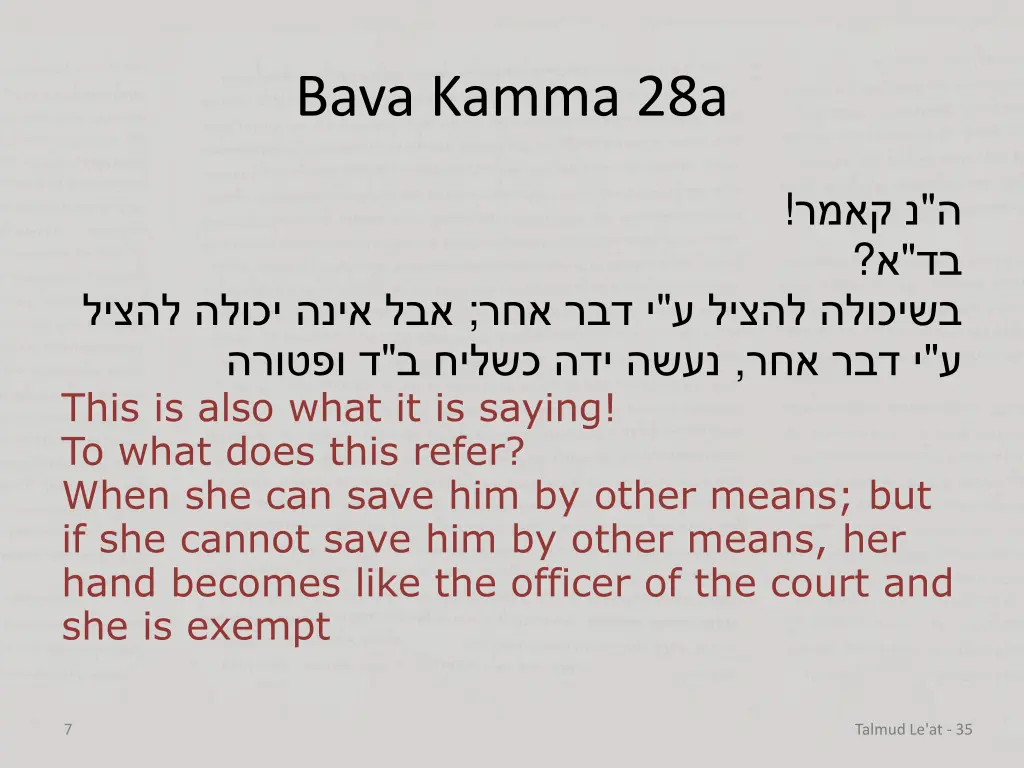 bava kamma 28a 4