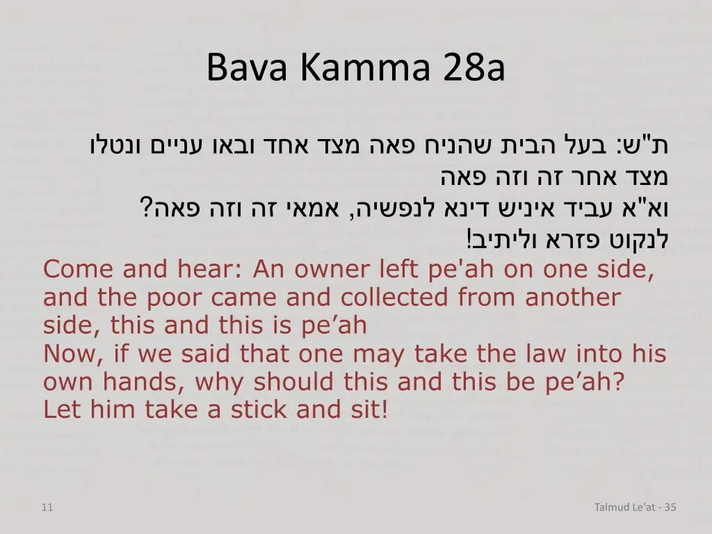 bava kamma 28a 8