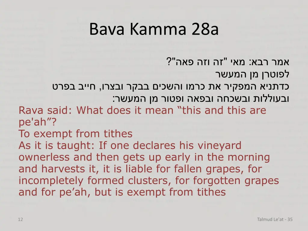 bava kamma 28a 9