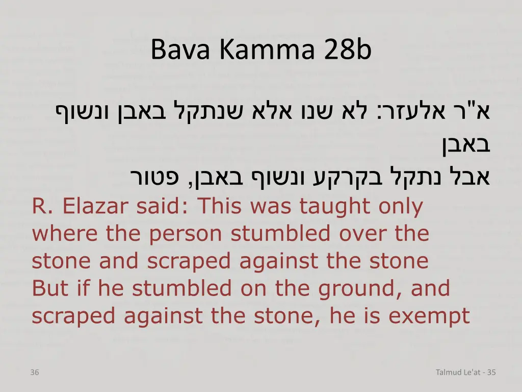 bava kamma 28b 11