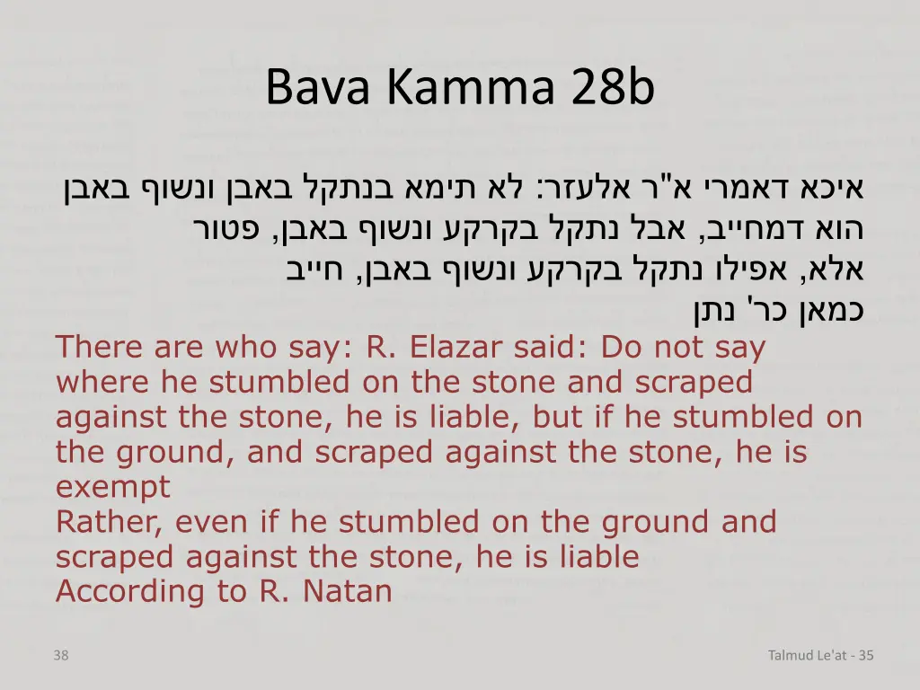 bava kamma 28b 13