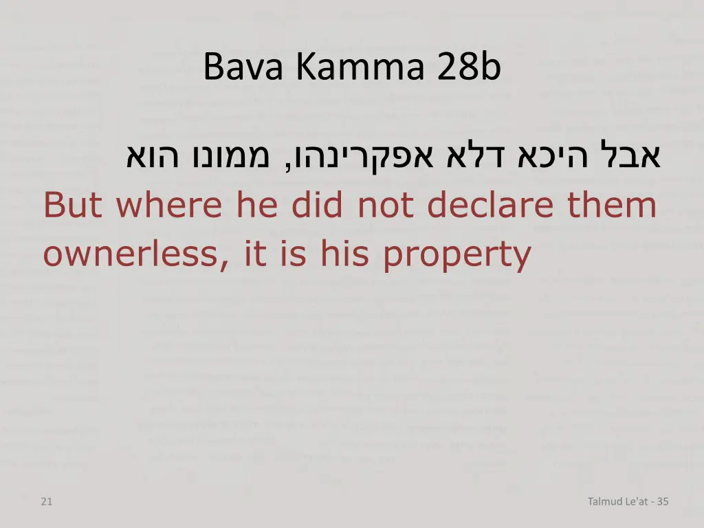 bava kamma 28b 3