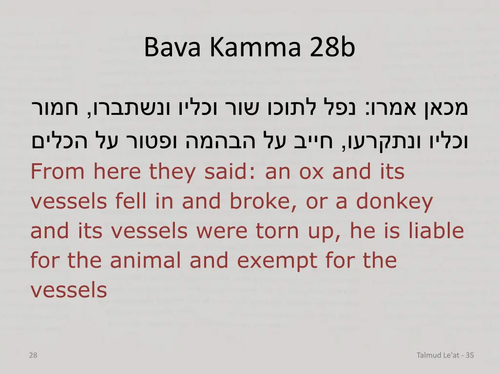 bava kamma 28b 5
