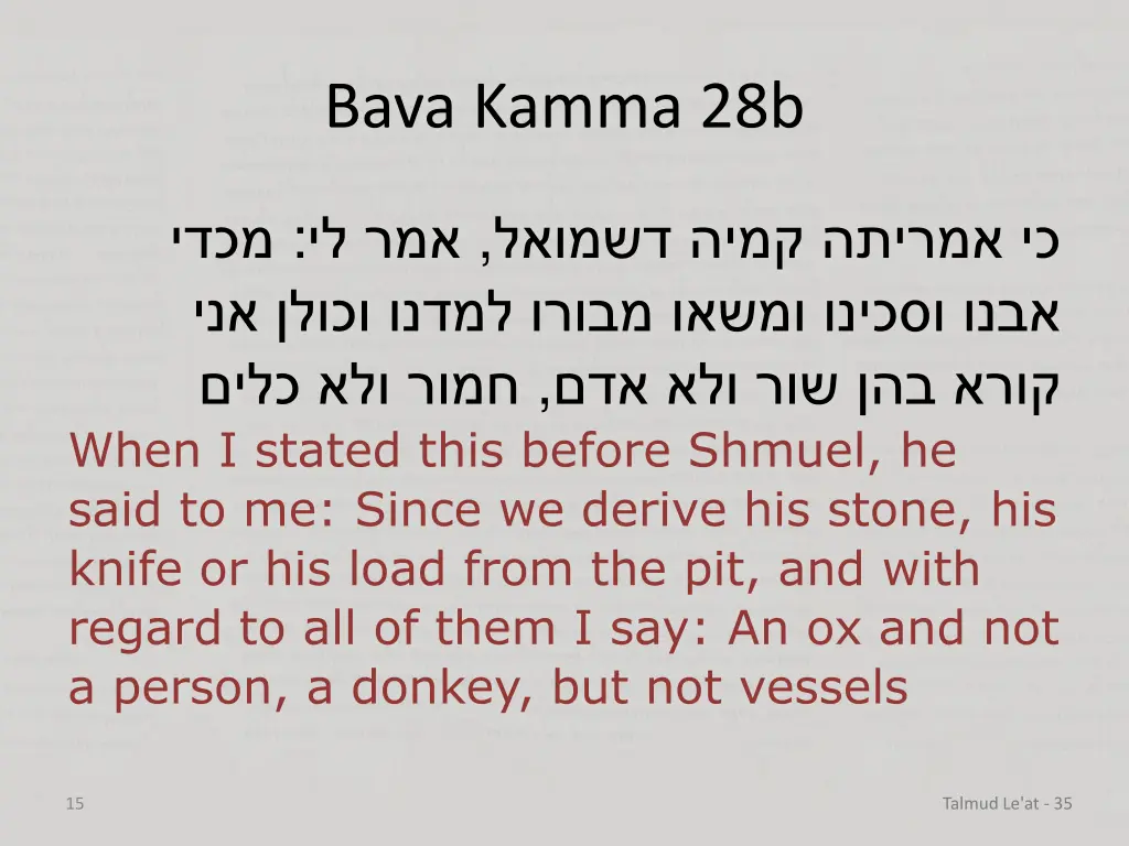bava kamma 28b