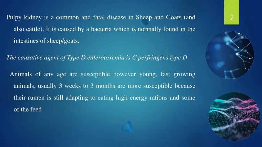 slide2