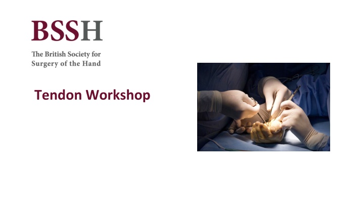 tendon workshop