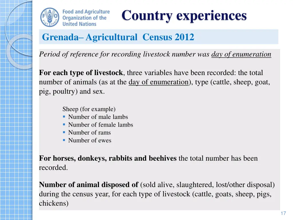 country experiences
