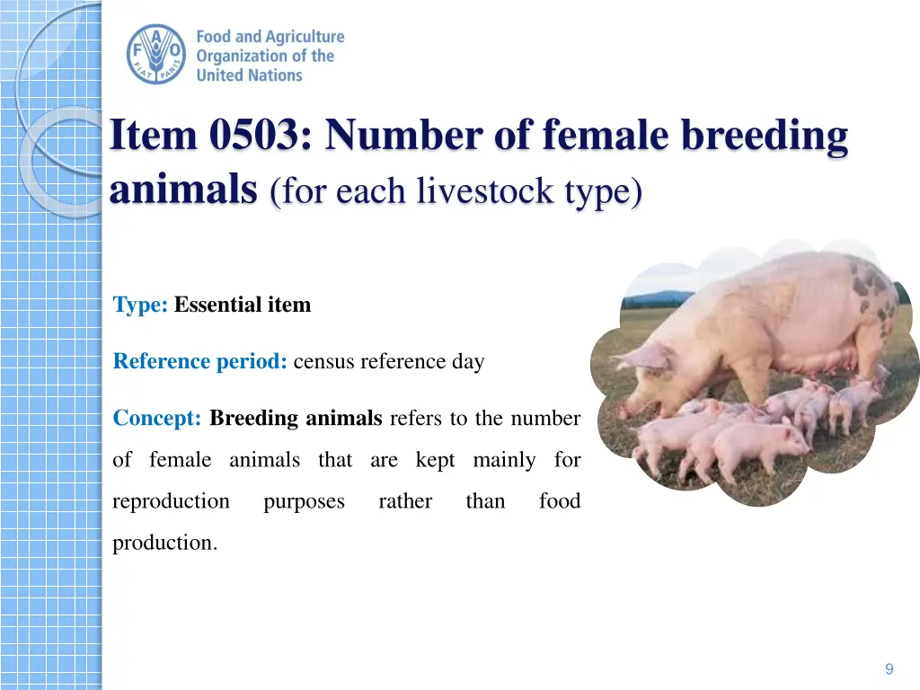 item 0503 number of female breeding animals