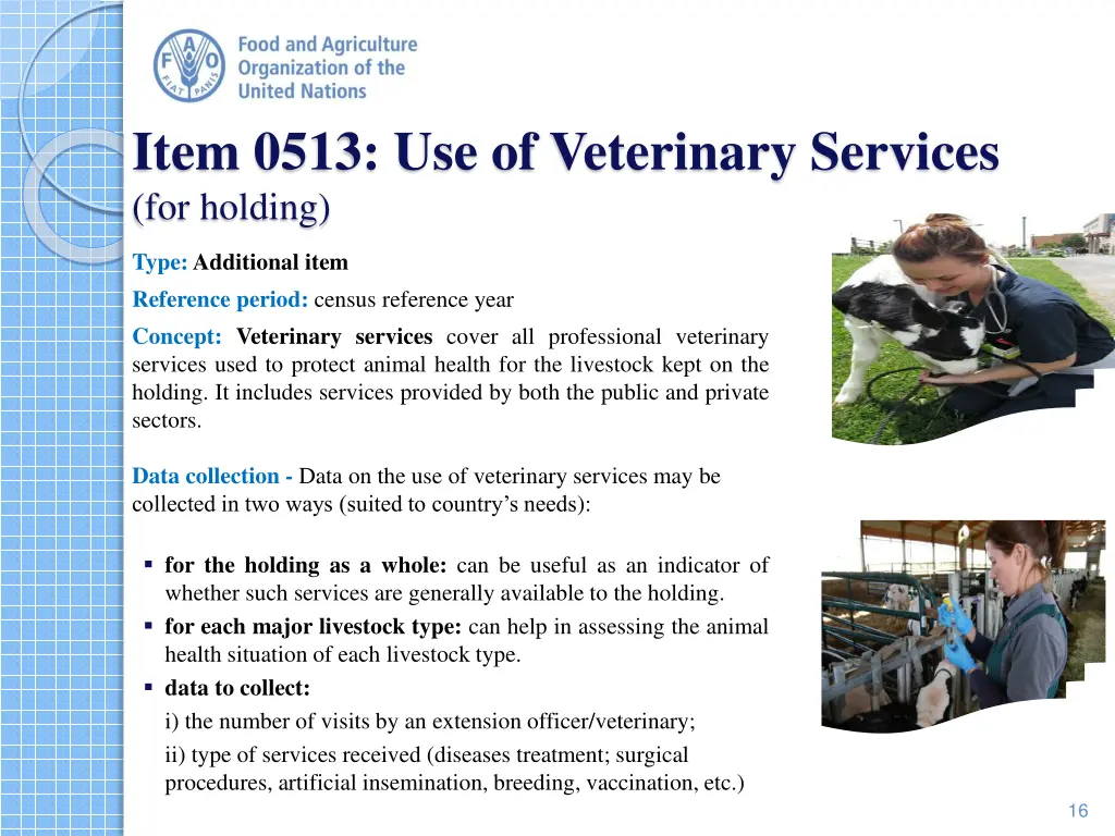 item 0513 use of veterinary services for holding
