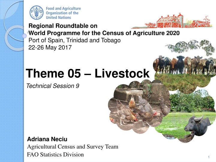 regional roundtable on world programme