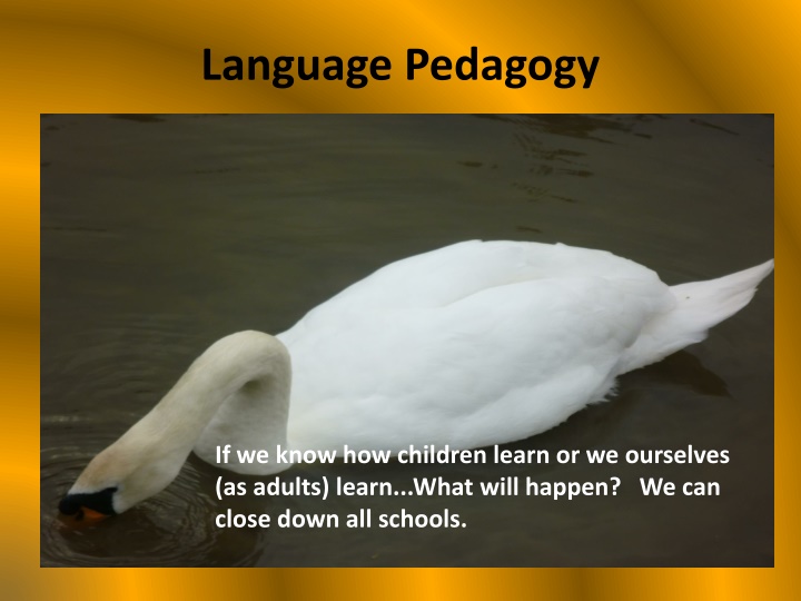 language pedagogy