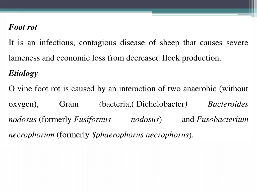 foot rot