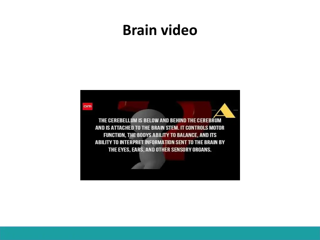 brain video