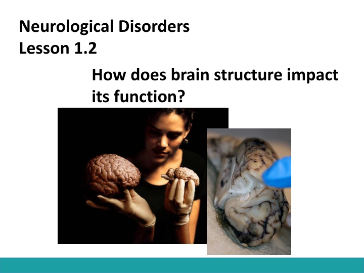 neurological disorders lesson 1 2 how does brain