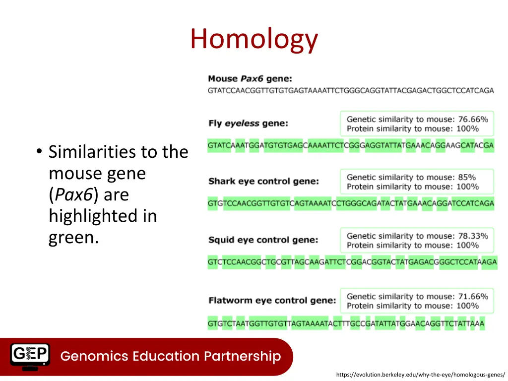 homology