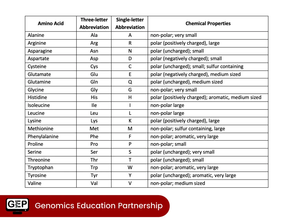 slide17