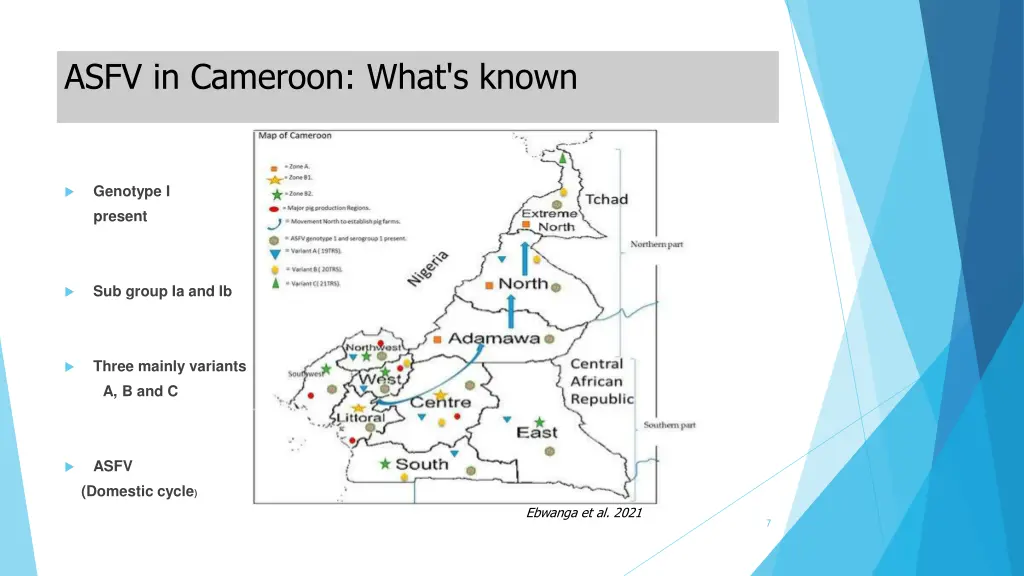 asfv in cameroon what s known
