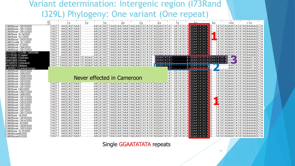 variant determination intergenic region i73rand