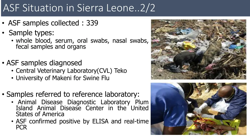 asf situation in sierra leone 2 2