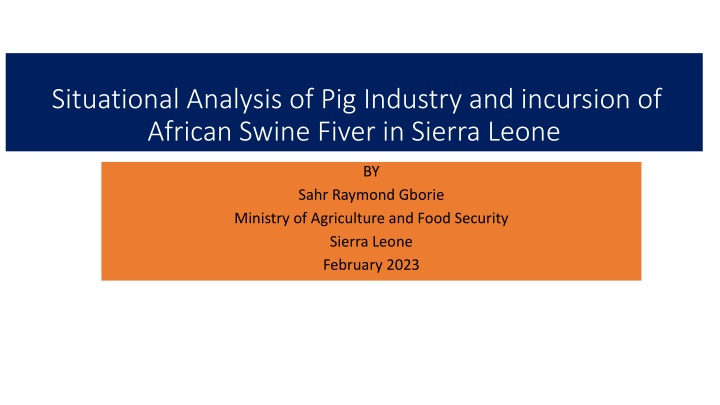 situational analysis of pig industry