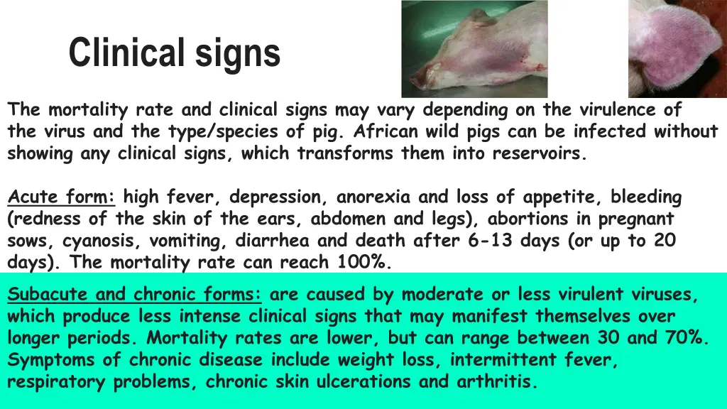 clinical signs