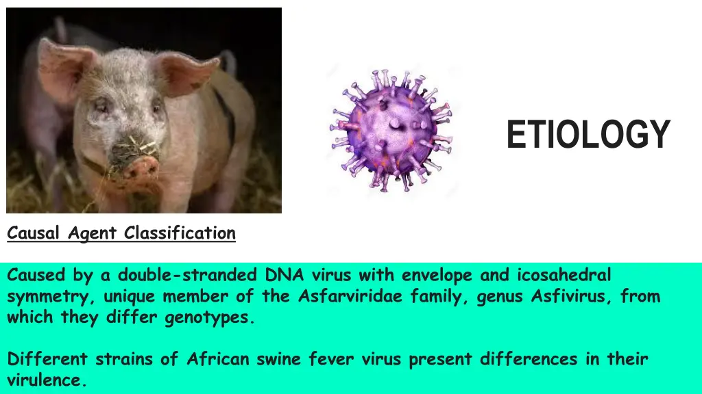 etiology