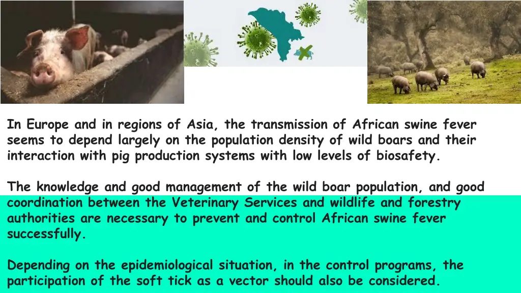 in europe and in regions of asia the transmission