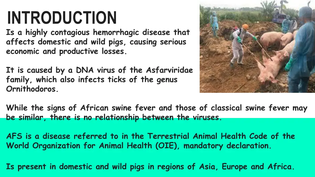 introduction is a highly contagious hemorrhagic