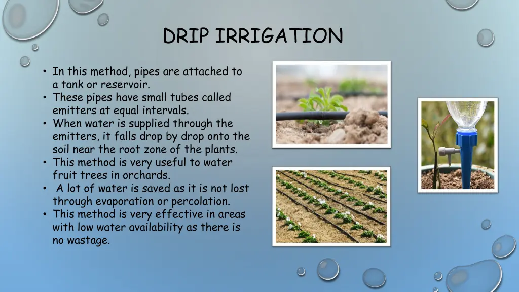 drip irrigation