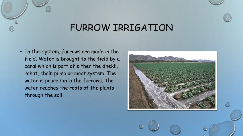 furrow irrigation