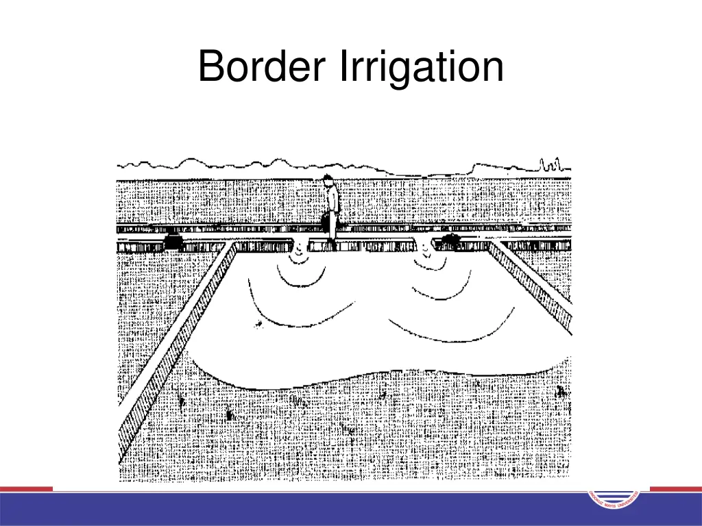 border irrigation