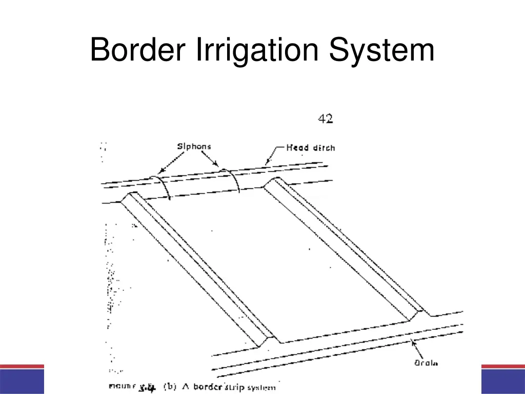 border irrigation system