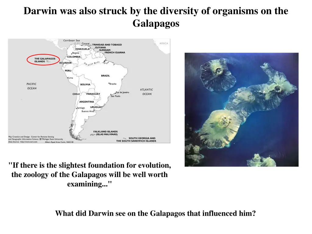 darwin was also struck by the diversity