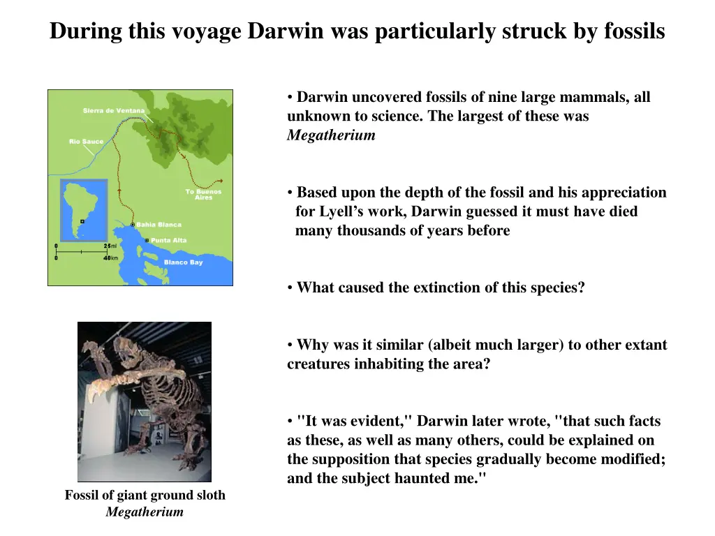 during this voyage darwin was particularly struck