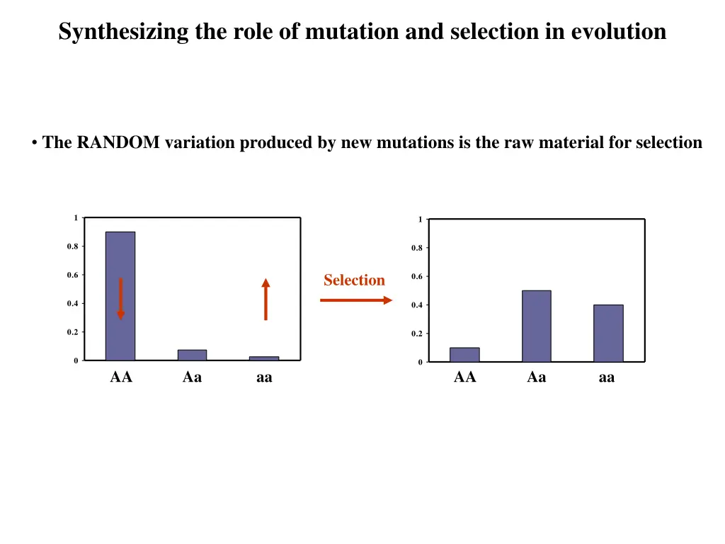 synthesizing the role of mutation and selection 1