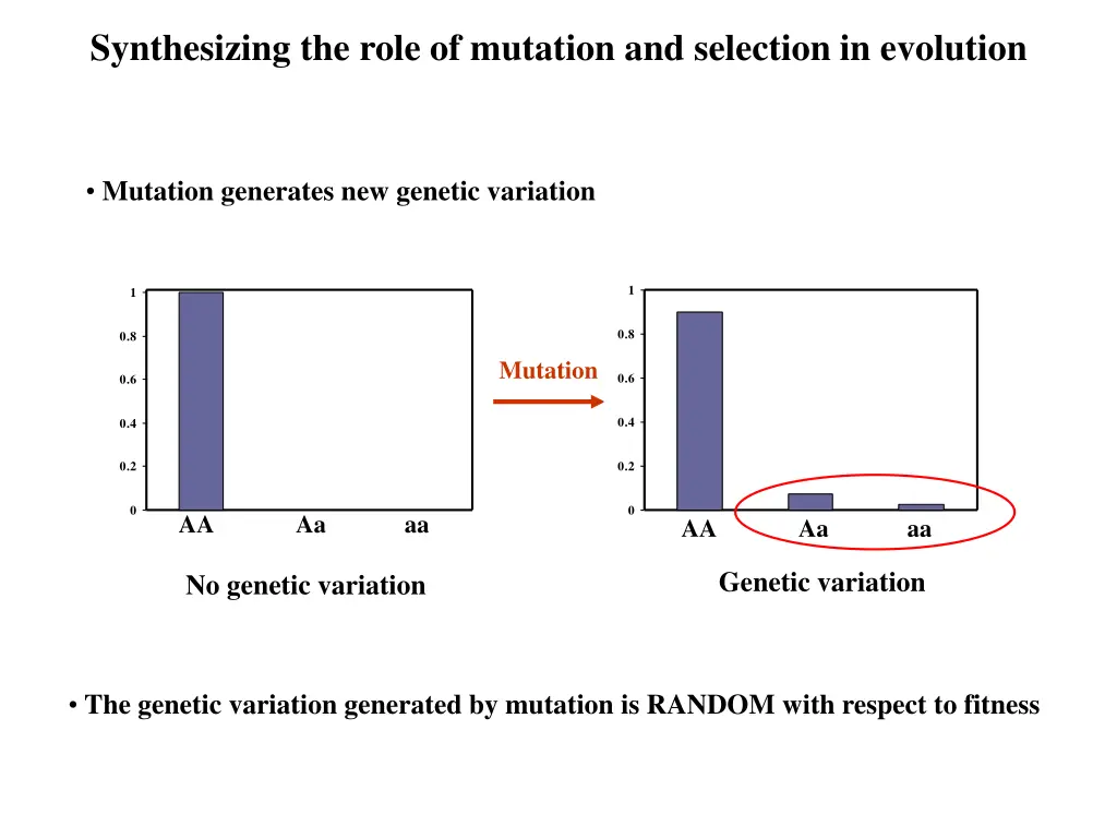 synthesizing the role of mutation and selection