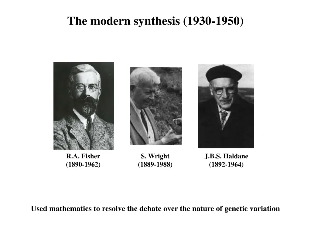 the modern synthesis 1930 1950