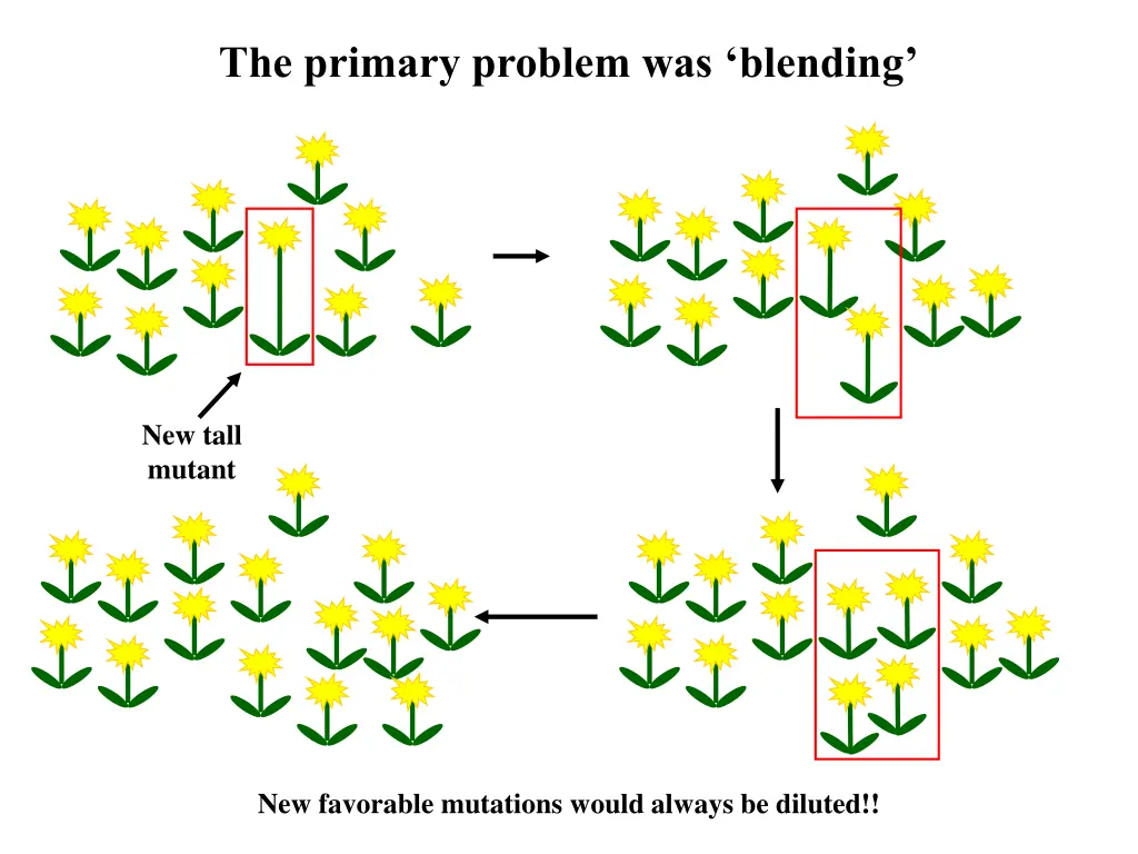 the primary problem was blending