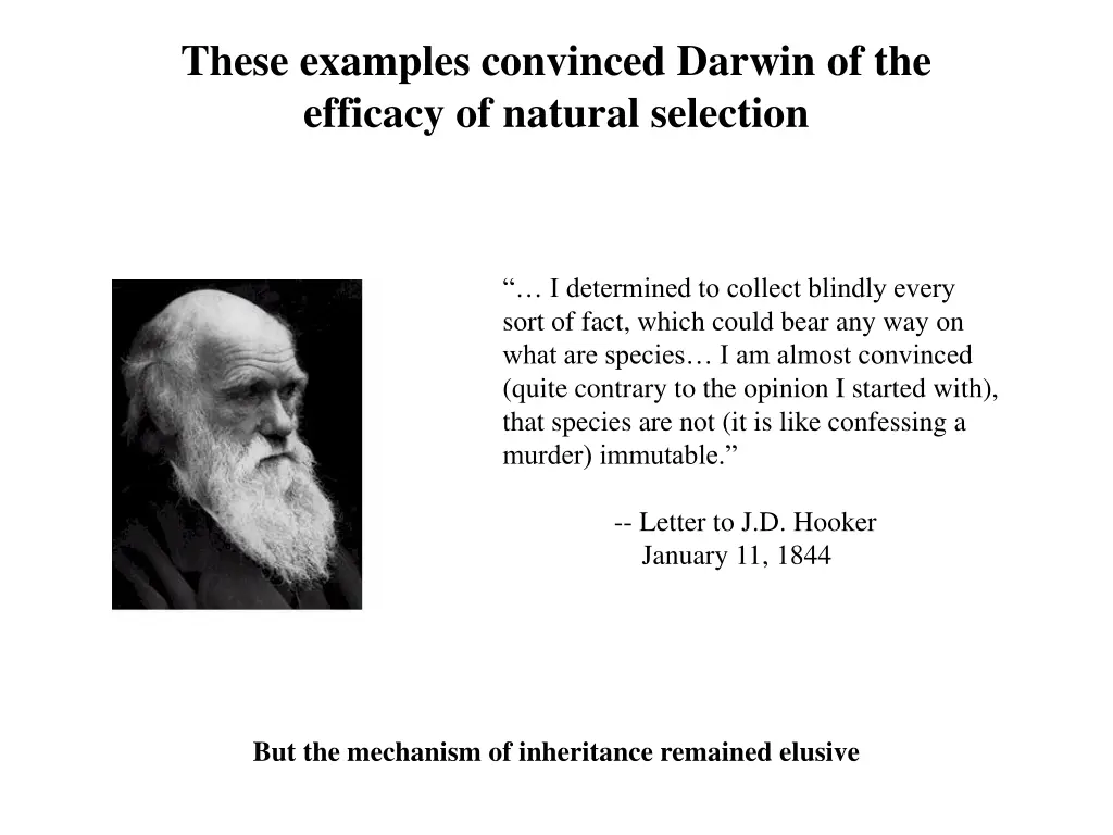 these examples convinced darwin of the efficacy