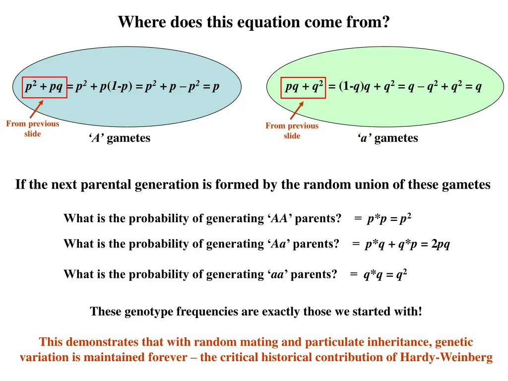where does this equation come from