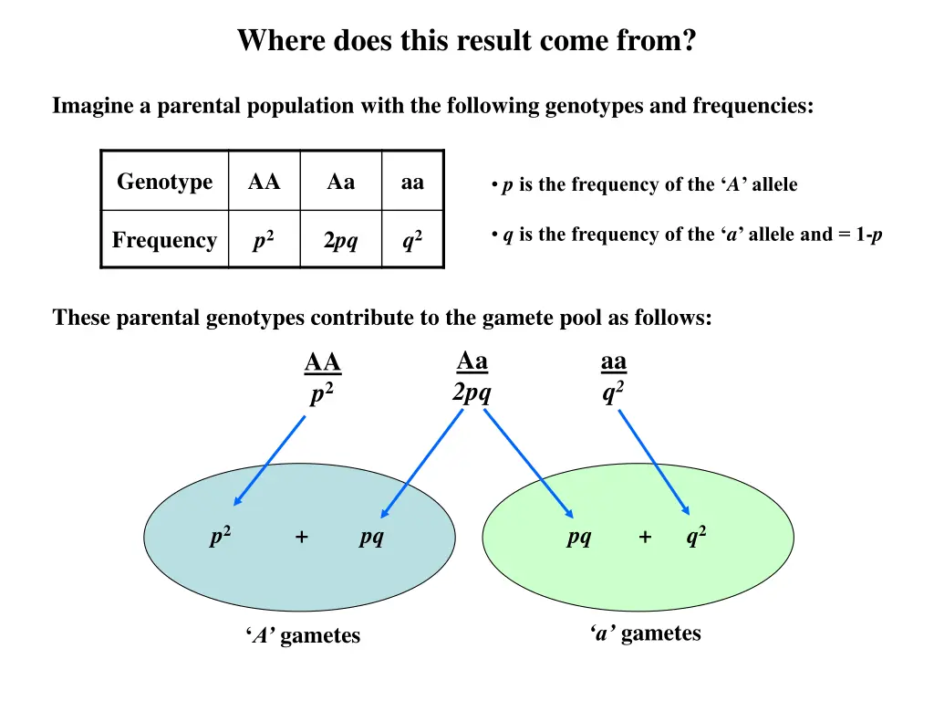 where does this result come from