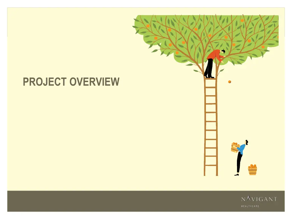 project overview