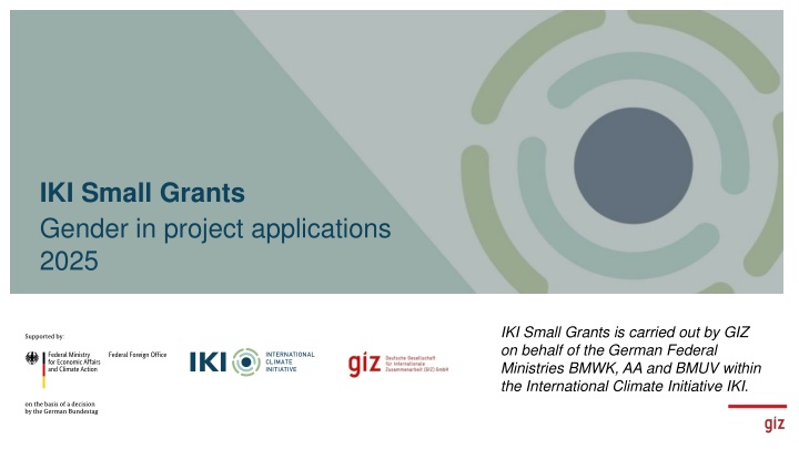 iki small grants gender in project applications