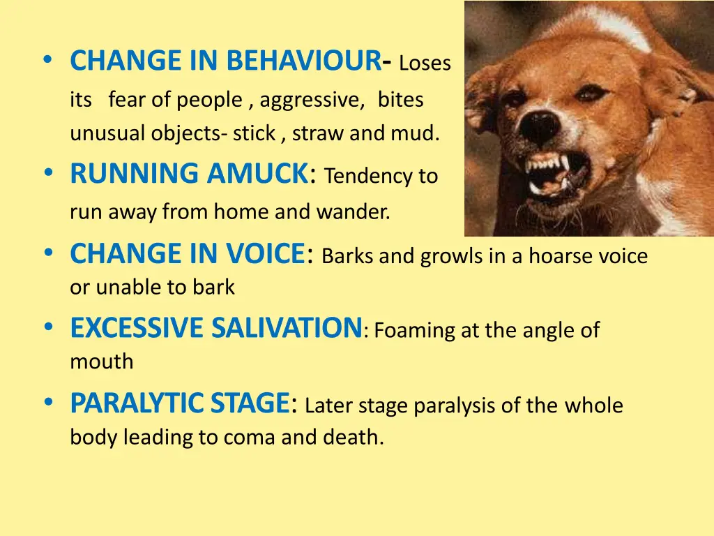 change in behaviour loses its fear of people