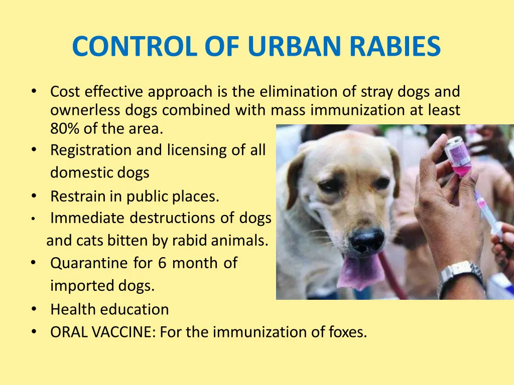control of urban rabies